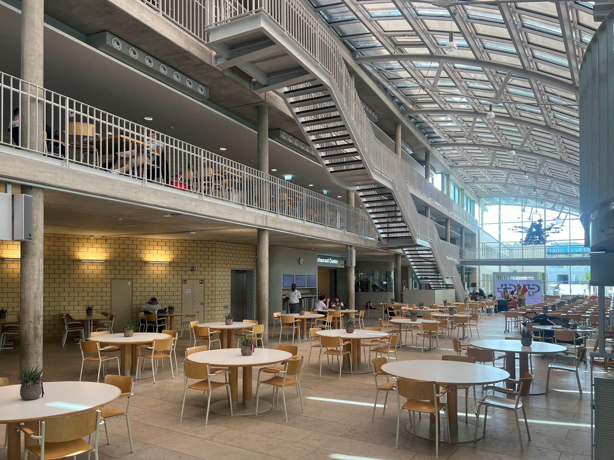 Mitarbeit bei Wilfried und Katharina Steib - Paraplegiker-Zentrum in Nottwil, Luzern.